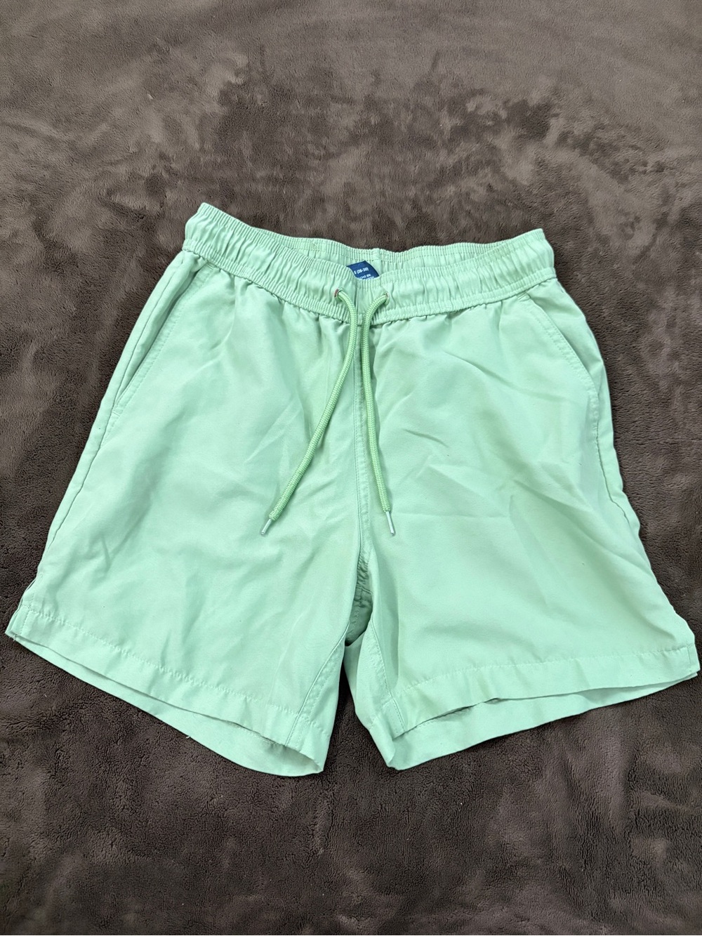 George Mint Green Men's Swim Trunks with Drawstring